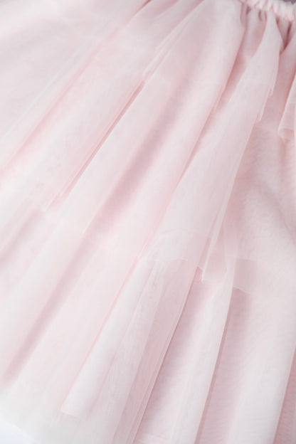 Ballet-Inspired Layered Tulle dress